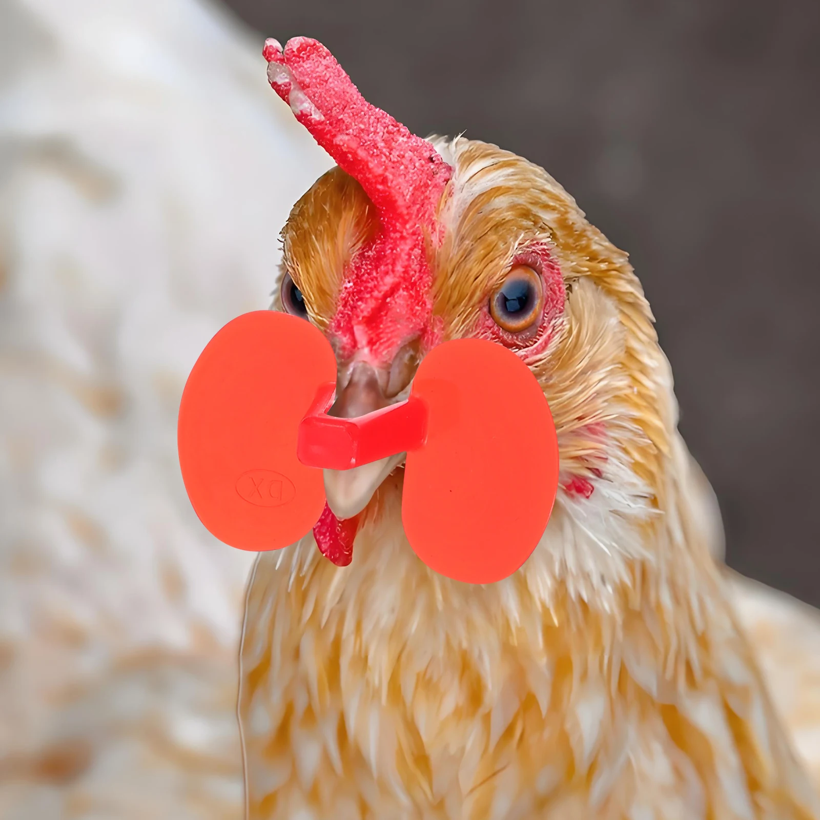 

100pcs Chicken Peeper Anti Pecking Goggles Red Protector Poultry Eye Glasses Lightweight Farming Equipment Plastic Hen Rooster