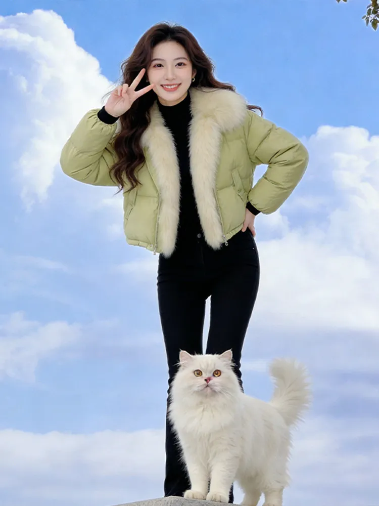 

Женское пуховое хлопковое пальто премиум-класса с застежкой-молнией и тонким меховым воротником, корейское свободное пальто, теплое зимнее пальто