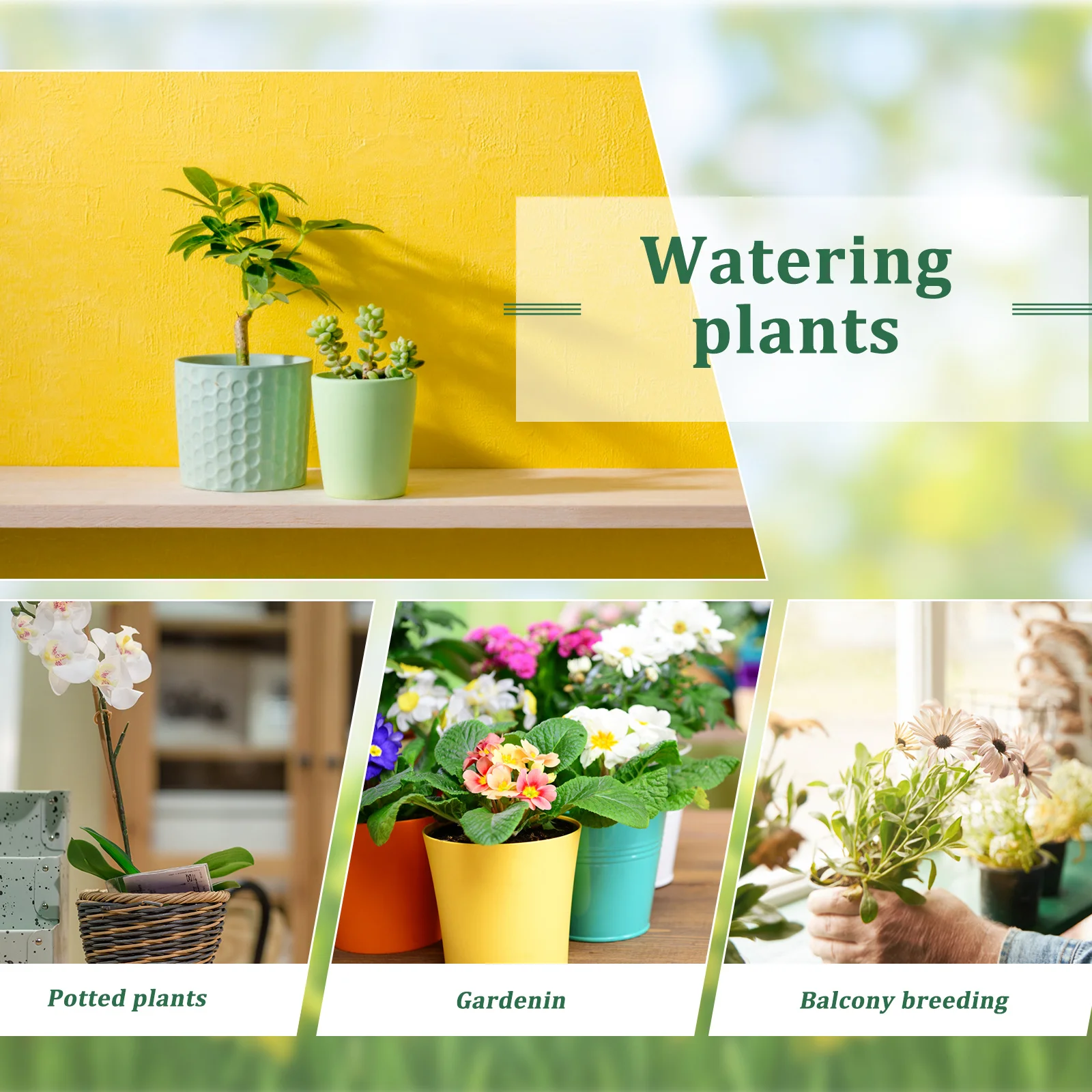 

Clear Glass Watering Bottle Vintage Spray Pump for Plants Thickened Glass Body Small Mist Sprayer for Indoor Outdoor Garden