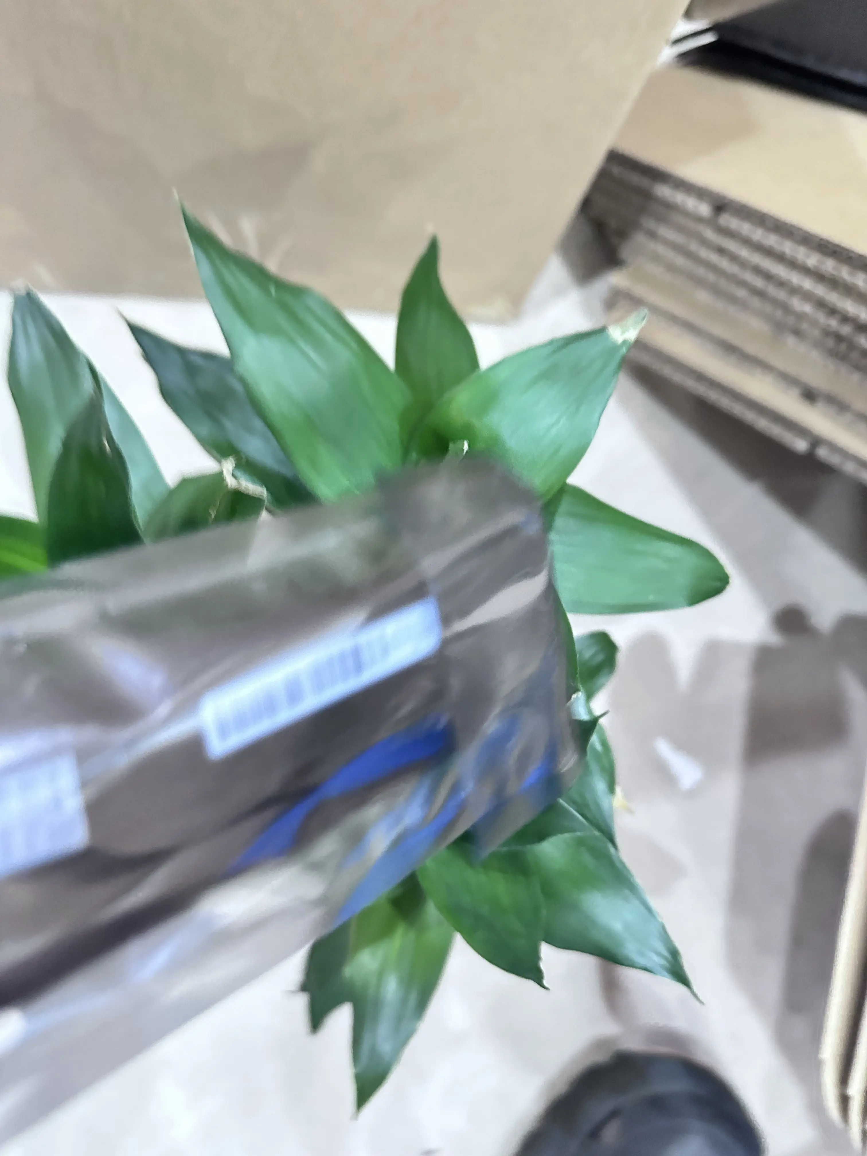 CE841-60111 Q8418-60043 Sensor CIS Scanner-Einheit Scannerkopf für HP M1130 M1132 M1136 M1210 M1212 M1213 M1214 M1216 M1217 M1218