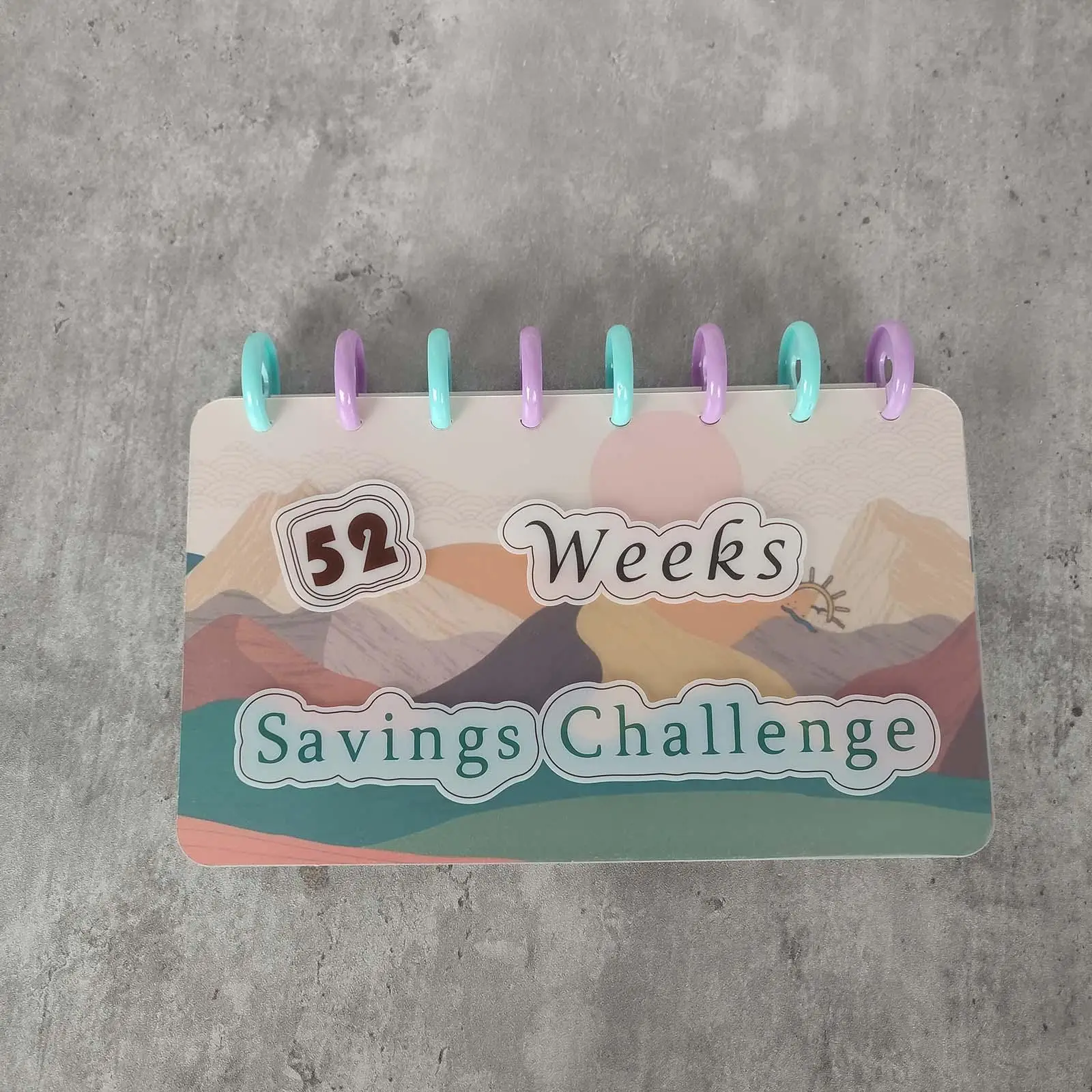 

52 Week Money Saving Challenge Binder Reusable Cash Saving Challenge Budget