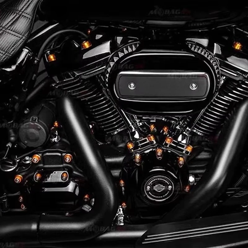 

Top-of-the-Line Hardware and Trim Caps for Motorcycle Perfection Bolts Elevate Every Screw with Our Premium Trim Caps