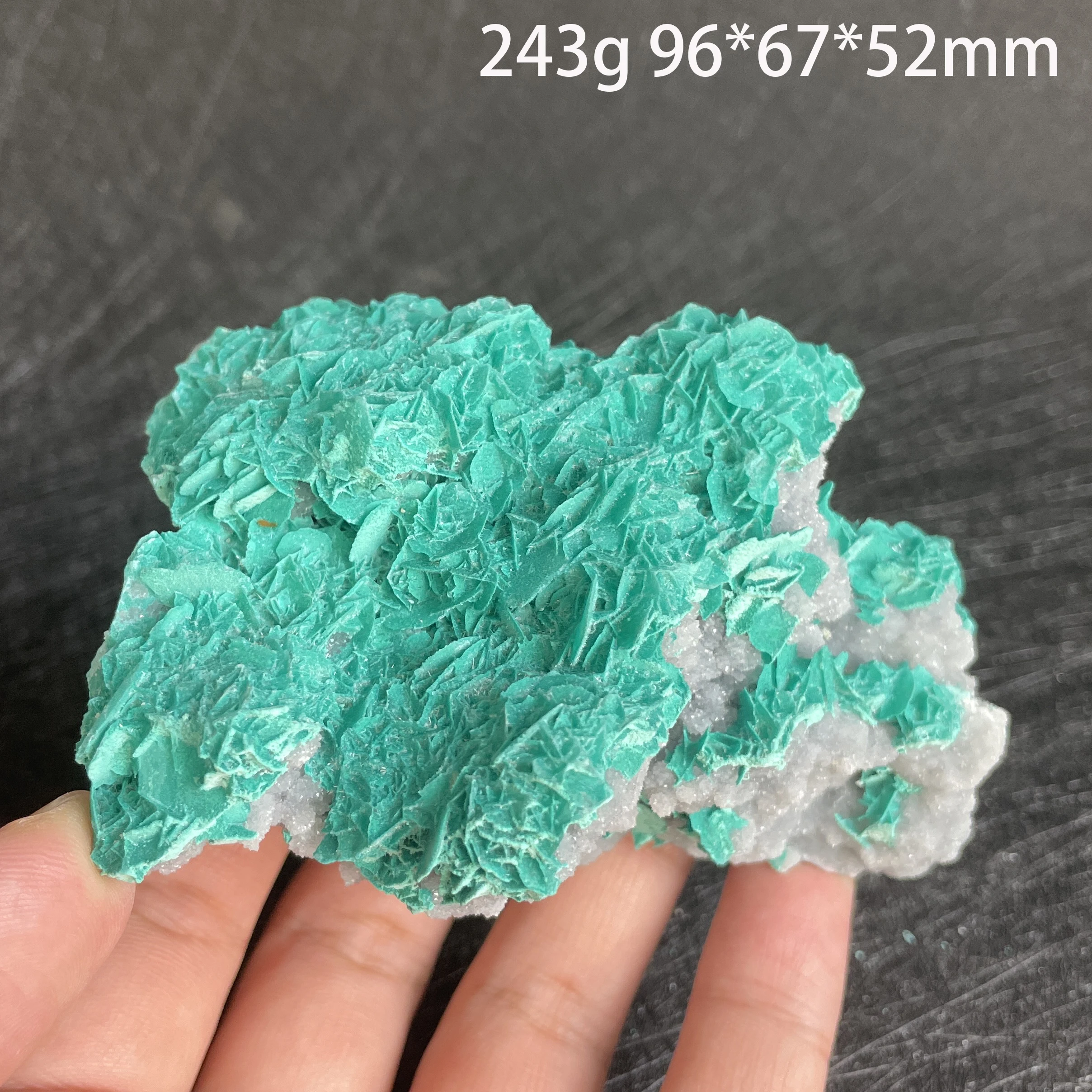 Natural Raw Stone Antlerite Mineral Specimen Quartz Crystal Healing Teaching Collection Home Decor Gift