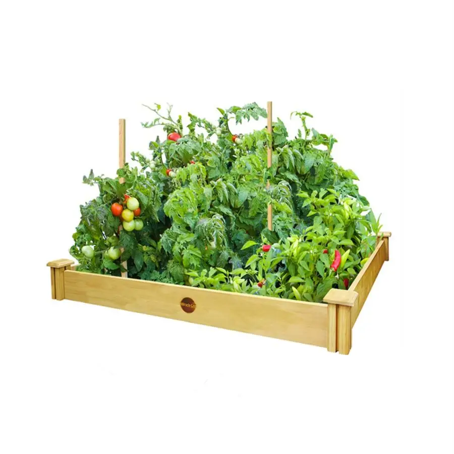 

Fence CO RCMG4S4B 4x4x5.5 GDN Raised Garden kit