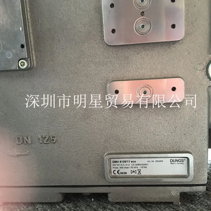 Germany Dongsi Dung… - image