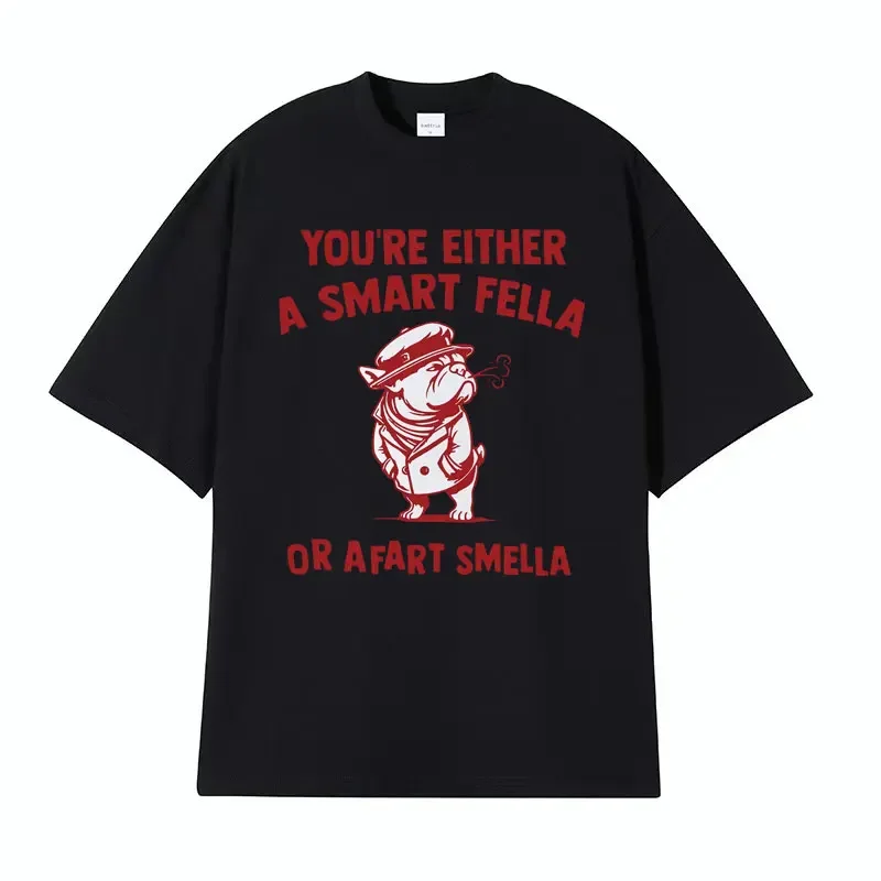 Are You A Smart Fella or Fasskrt Smella Funny Meme T Shirt Men Women Vintage High Quality Casual 100% Cotton T-shirt Y2k Stwear