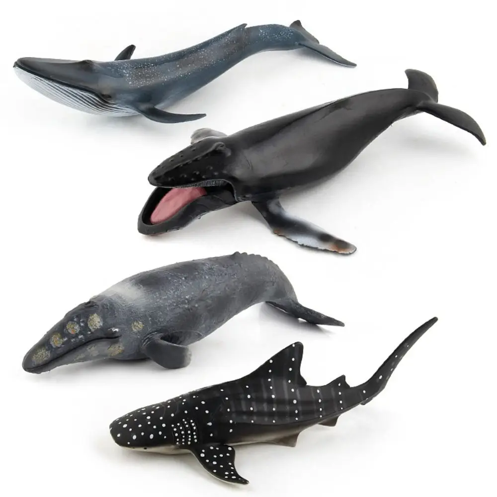 Simulation d'animaux marins, modèle de baleine sperme, baleine biologique sous-marine, Figurines éducatives en PVC solide, jouet pour enfants