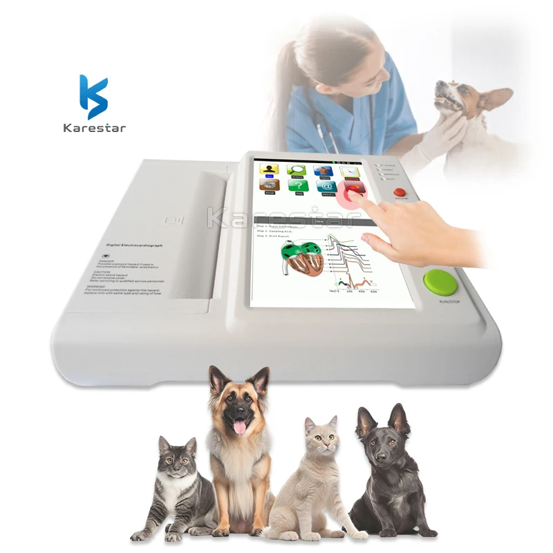 

Professional Portable Veterinary Electrocardiograph 12 Channels
