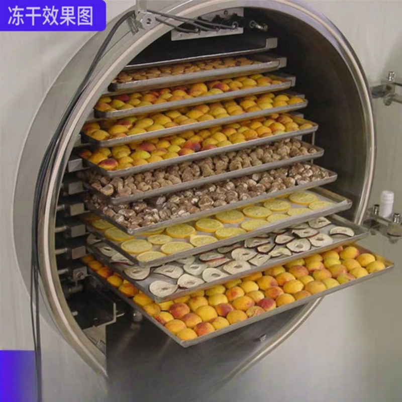 

Commercial 100 Square Feet Dryer Pet Food Equipment Fruit And Vegetable Crisps Machine Good Freeze Drying Effect