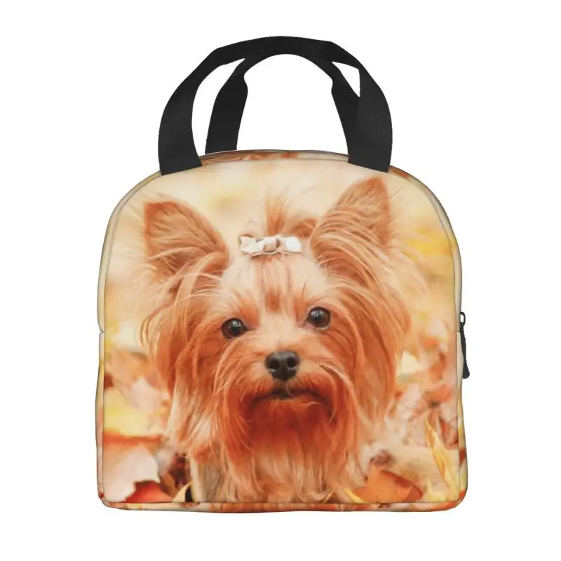 Yorkshire Terrier Dog Insulated Lunch Bag for Women Waterproof Animal Pattern Thermal Cooler Bento Box Kids School Children