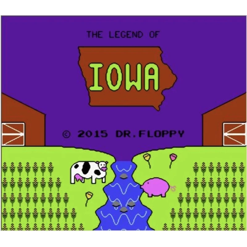 Legend of IOWA Game Cartridge for NES Console 72Pins Video Game Card