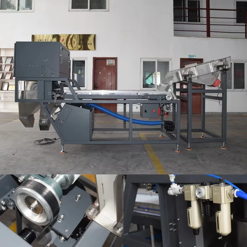 Complete Belt Type Color Sorter Machine Automatic Feeding CCD Visual Sorting System For Food Raw Material Custom