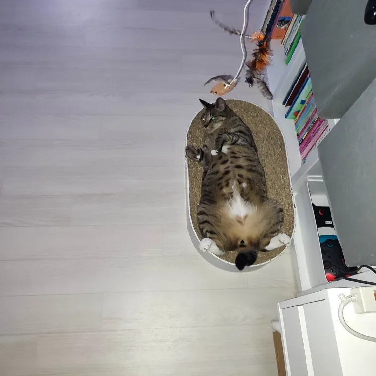 구매후기
