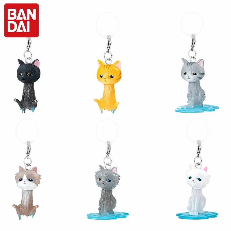 

Bandai Soggy Wet Cat Keychain Gashapon Capsule Toy Mini Cat Figure Charm 6 Styles Bag Pendant Umbrella Hanger For Anime Fans