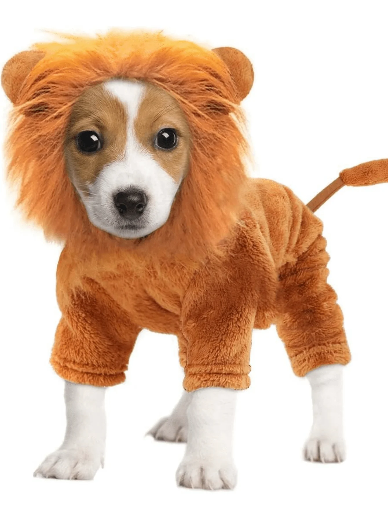 

Lion Costume for Cats Kitten Funny Pet Clothing, Cute Fancy Dress with Bow Tie & Mane for Small Dogs, Halloween Christmas Photo