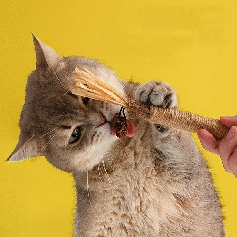 Pet Interactive Chew Sticks Cat Teeth Molar Cleaning Toy Polygonum Wood Gall Nut Raffia Silvervine Stick Hemp Rope Supplies