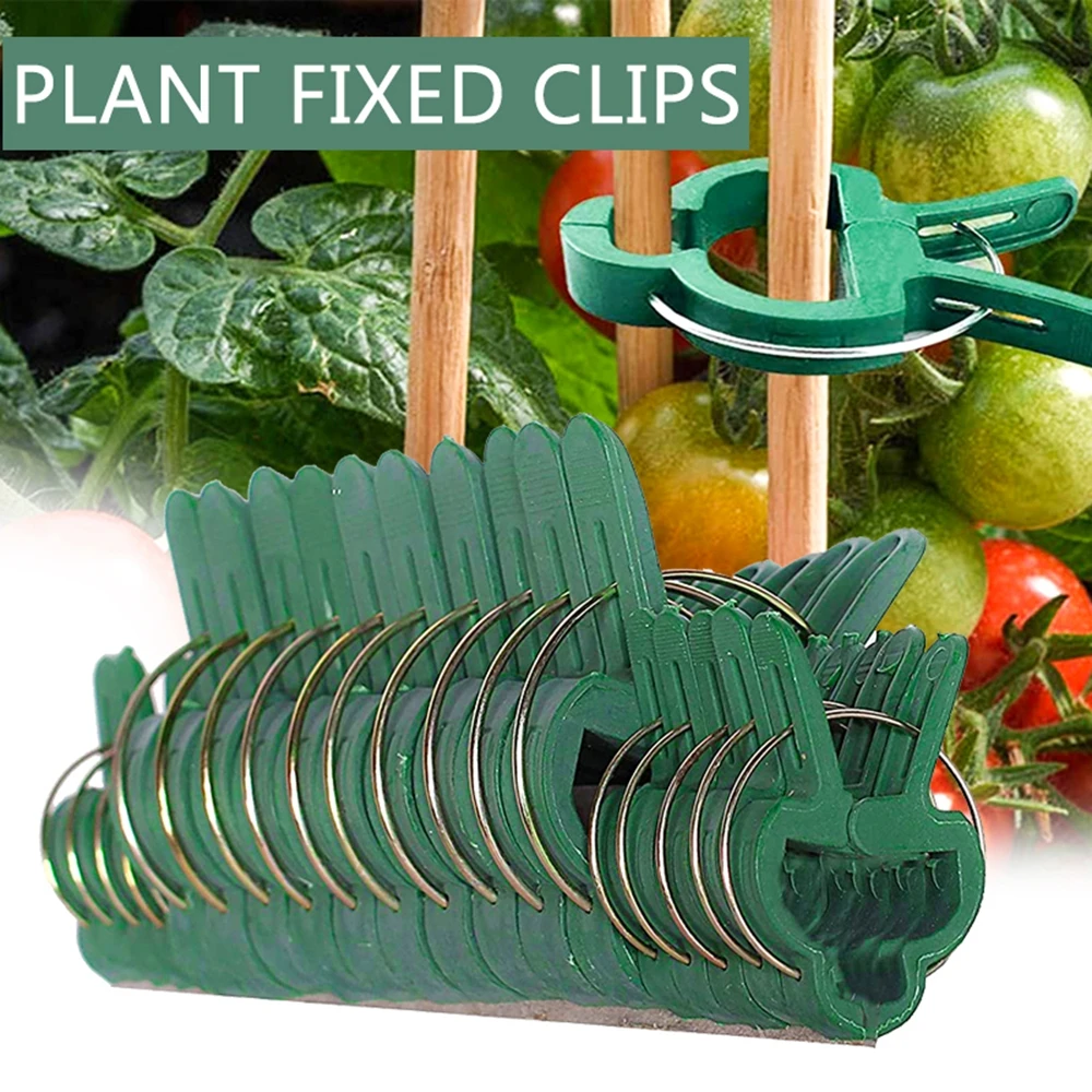 

Bundle Plastic Planting Vine Support Stakes Connector Branch Clamping Support Clips Garden Tool Farm Supplies Plant Fixed Clamp