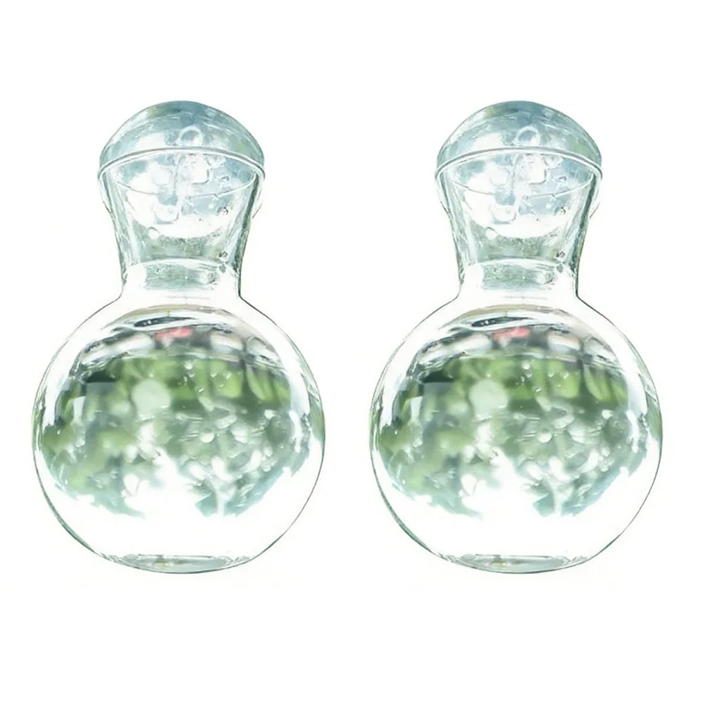 Bulb Vase for Propagation with for Clear Body and Suction Cup Base Plus Hooks for Mounting on and Other Flat Surfaces