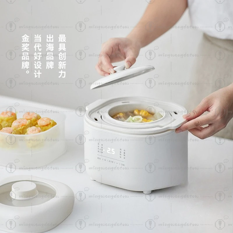 Small Electric Stew Pot, Household Double Boiler, Mini Stewing Cup for Bird's Nest, Soup & Porridge