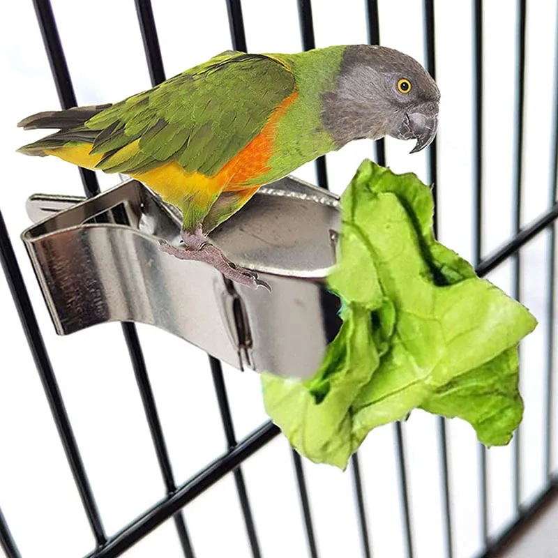 Durable Birds Food Holder Pet Parrot Feeding Fruit Vegtable Clip Feeder Device Pin Clamp Household Supplies Bird Cage Accessory