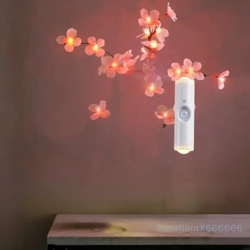 

USB Rechargeable Smart Wall Light with Dual Cat Eye, Human Sensing, Magnetic Home Night Light