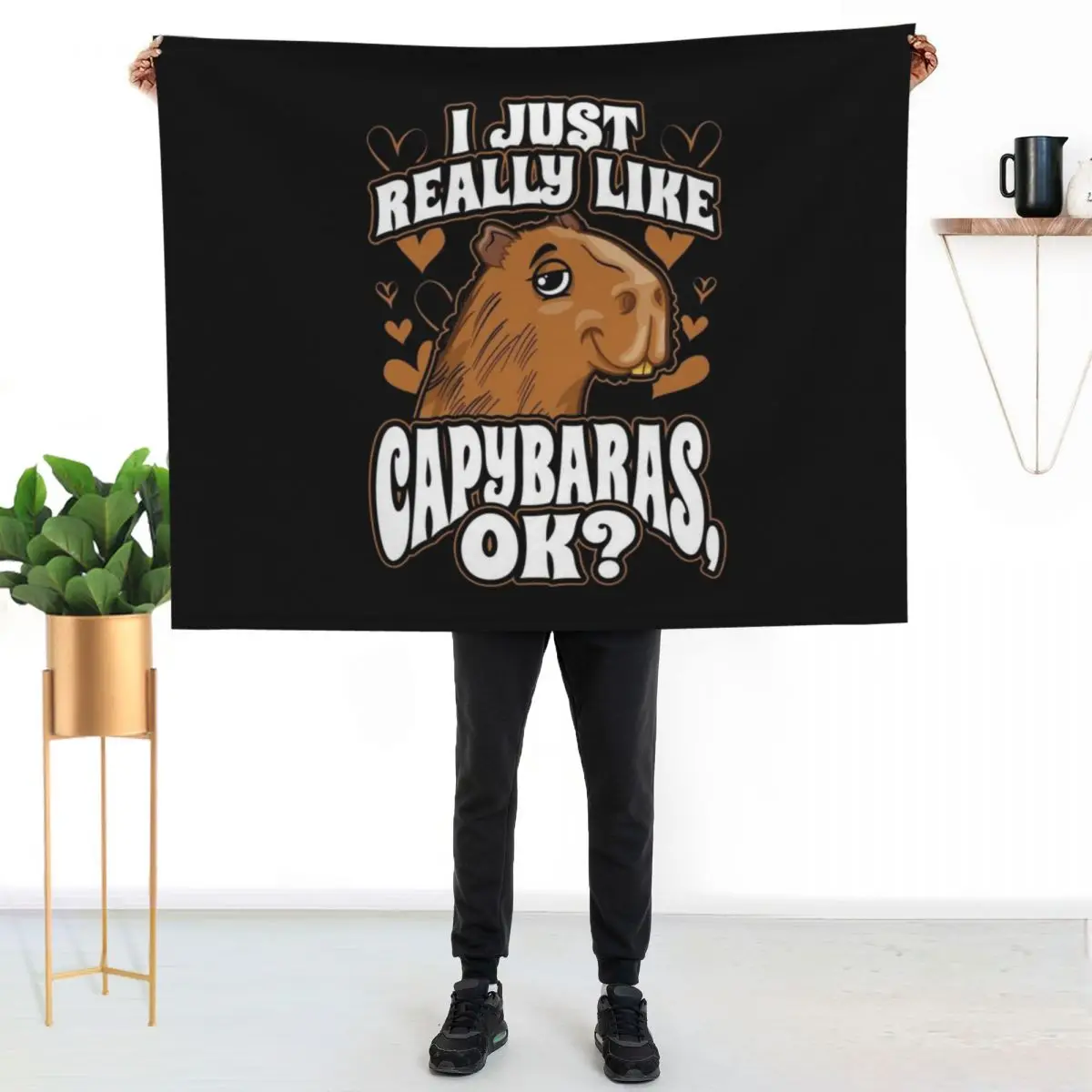 I Just Really Like Capybaras OK Throw Blanket Plaid Multi-Purpose Soft Big Warm decorative Sofa Quilt Blankets