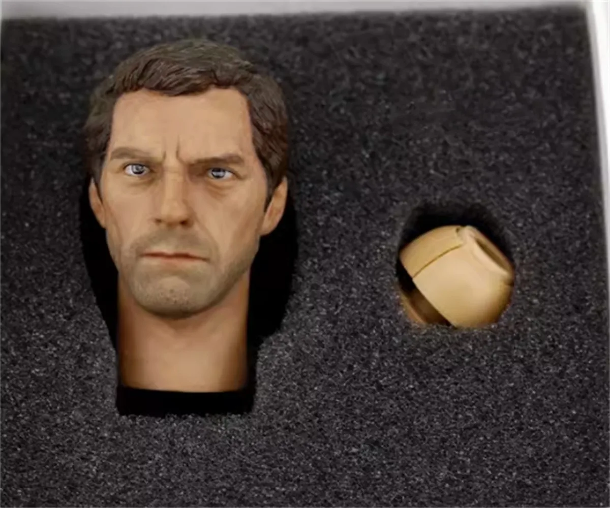 Hugh Laurie Star 1/6 Scale  Male Head Sculpt Carving  customize  Star Model for 12