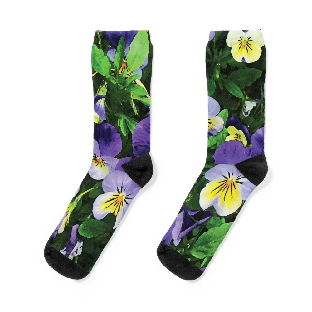 

Pansies Socks golf soccer anti-slip ankle sports stockings Man Socks Women's