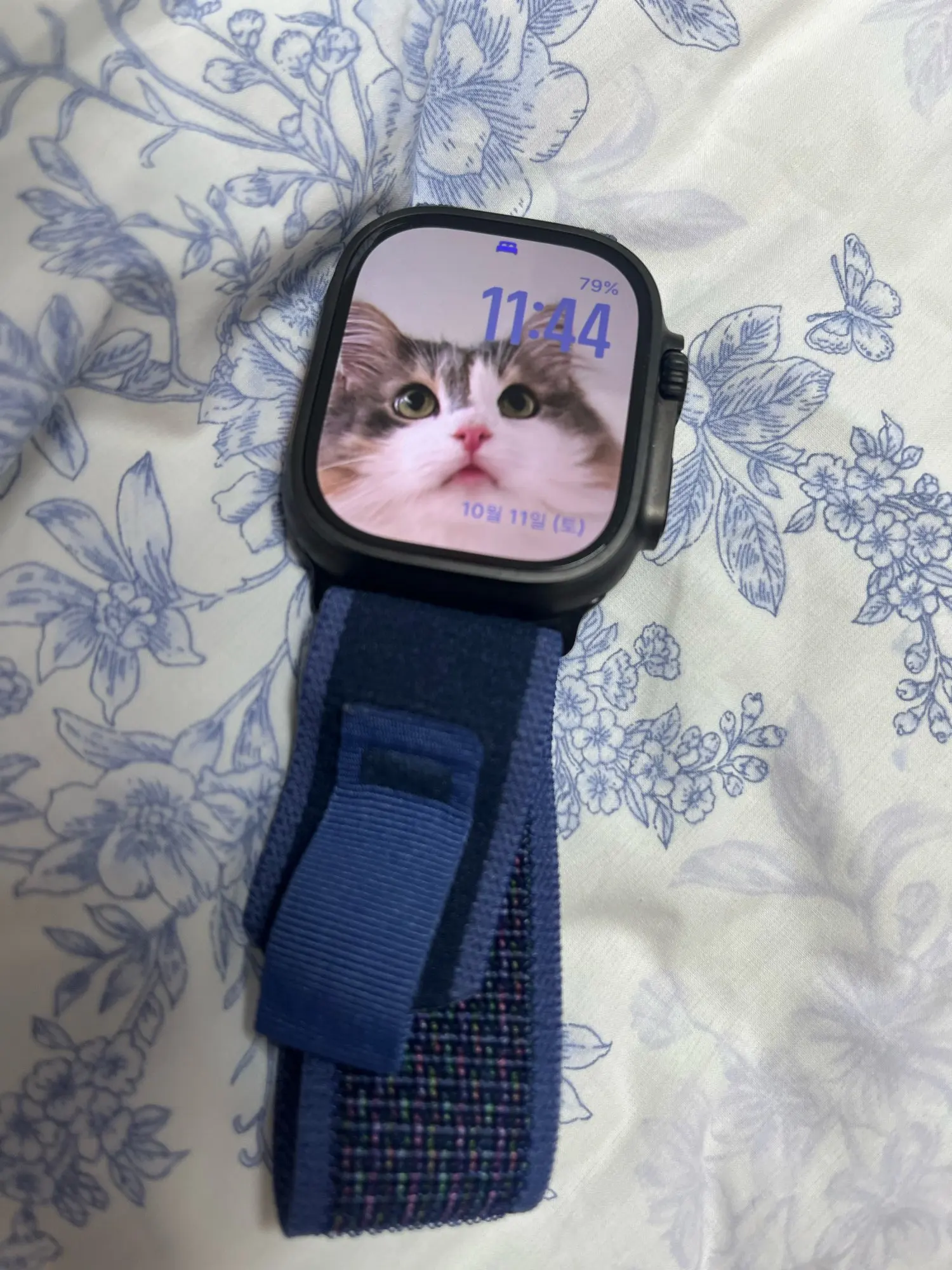 리뷰 사진