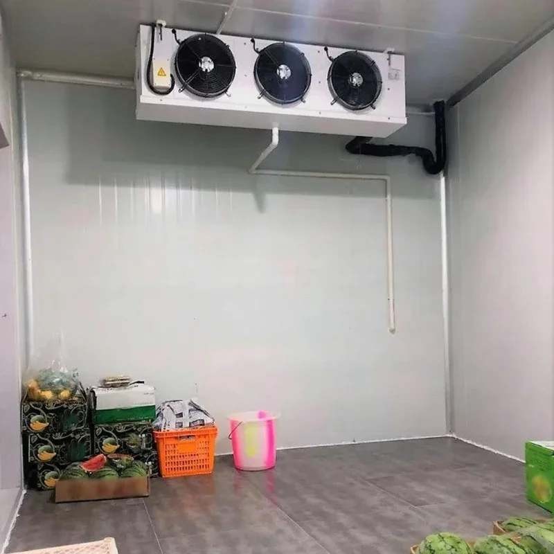 Customized Easy Installation Walk In Cold Storage Room Freezer Chiller Commercial Refrigeration Equipment