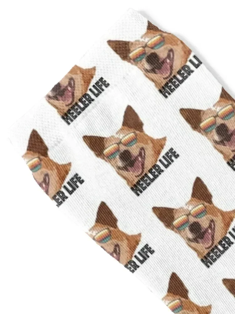 Heeler Life Socks cotton basketball sport anime Men Socks Luxury Brand Women's