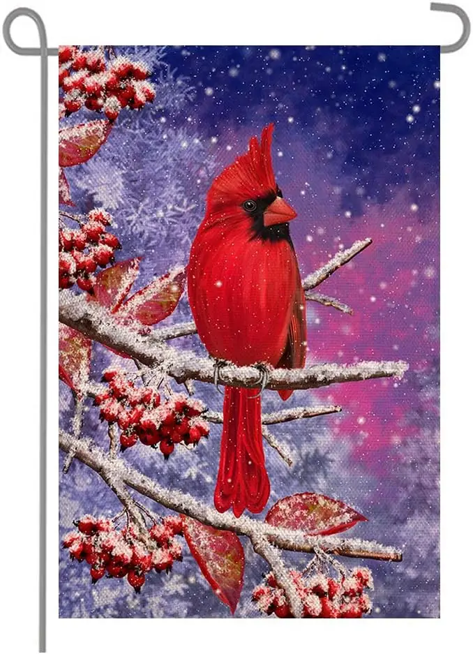 ANOVO Winter Welcome Red Cardinal Bird Flower Double Sided Burlap Garden Flags, Seasonal Outside Holiday Christmas Porch Patio F