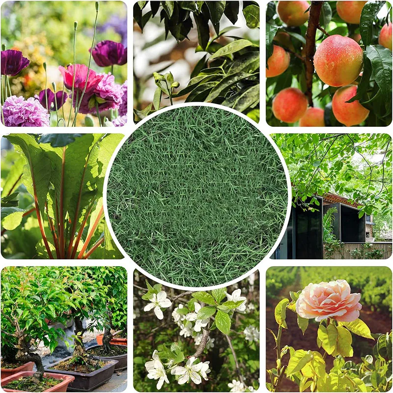 Imagem -06 - Tesouras de Jardim Conjunto Ferramentas Jardinagem Corte Florista Floral Espinho Rosa Ramo Hedge e Frutas Podador Portátil Tesouras Peças