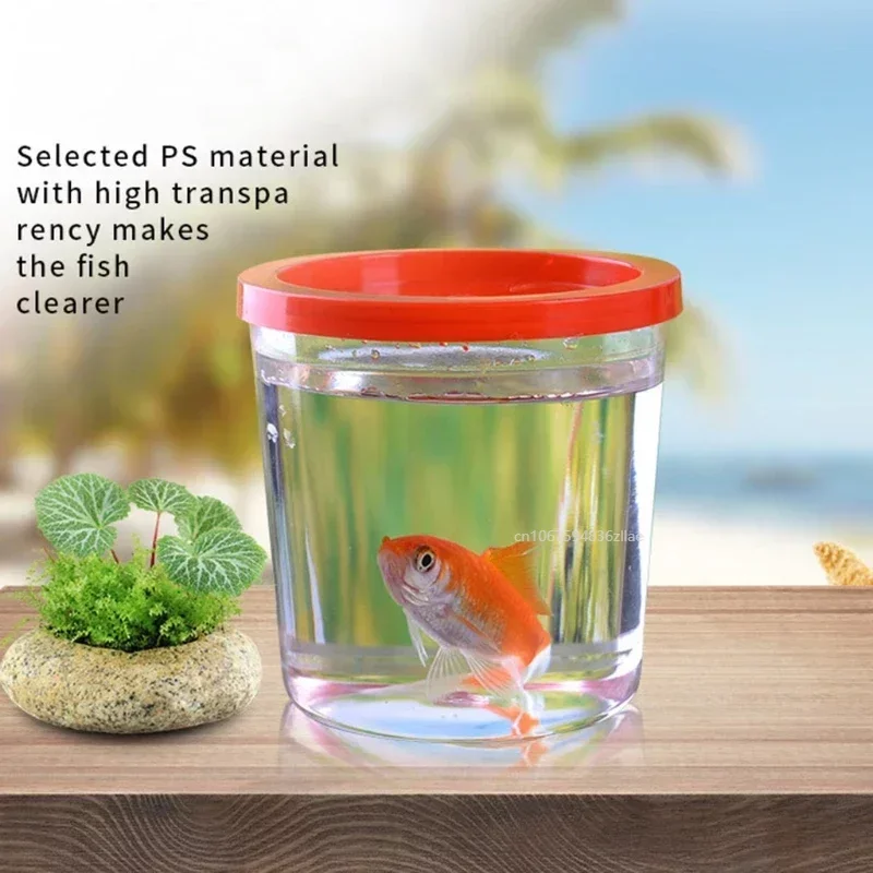 Mini Aquarium Tank Fish Cups Bowls for Small Fish and Tortoise Clear Aquariums for Kids Perfect Birthday Gift Ideas