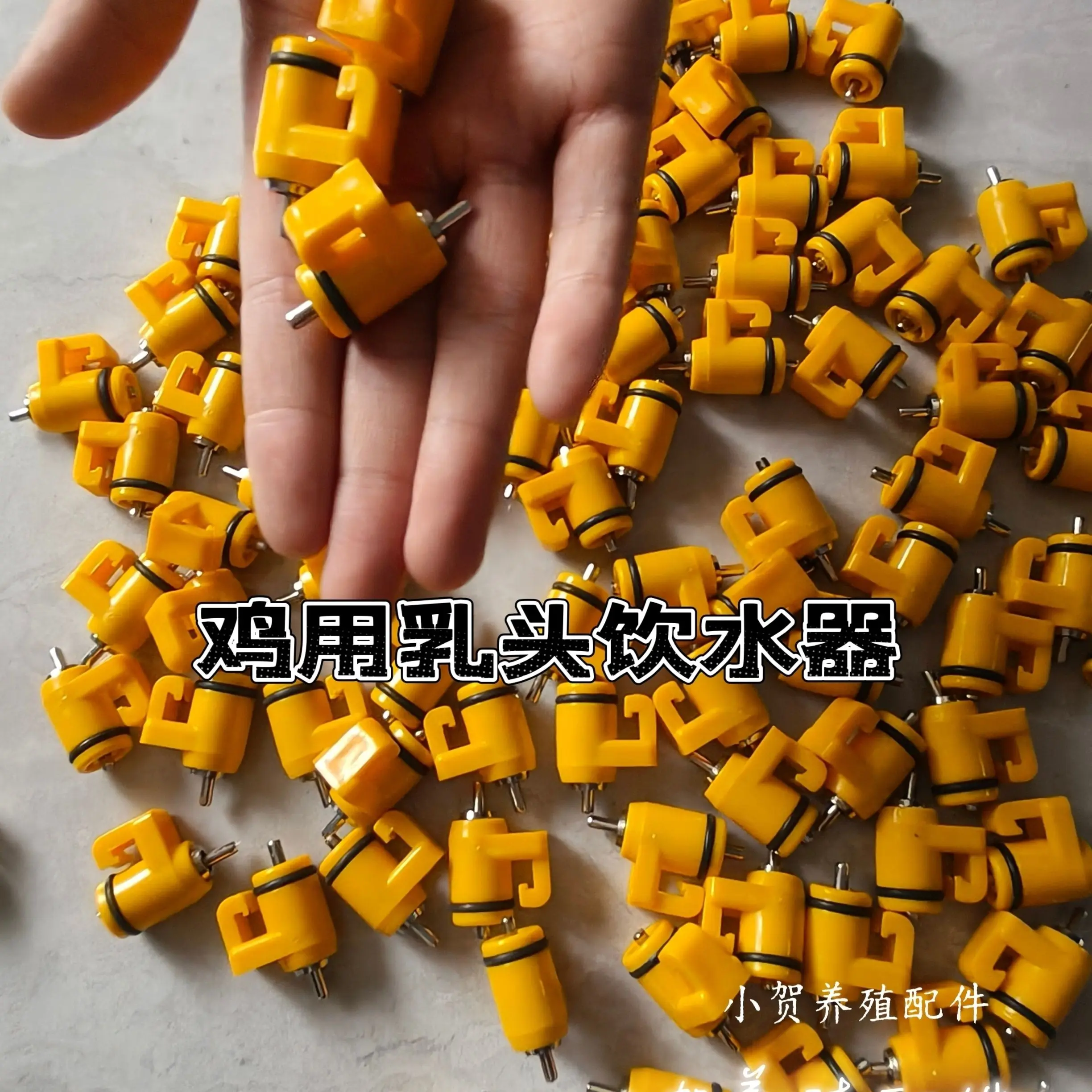High-end Drinking Nozzle, Broiler, Laying Hen, Nipple, Water Dispenser, Breeding Farm, Brooding Water Dispenser