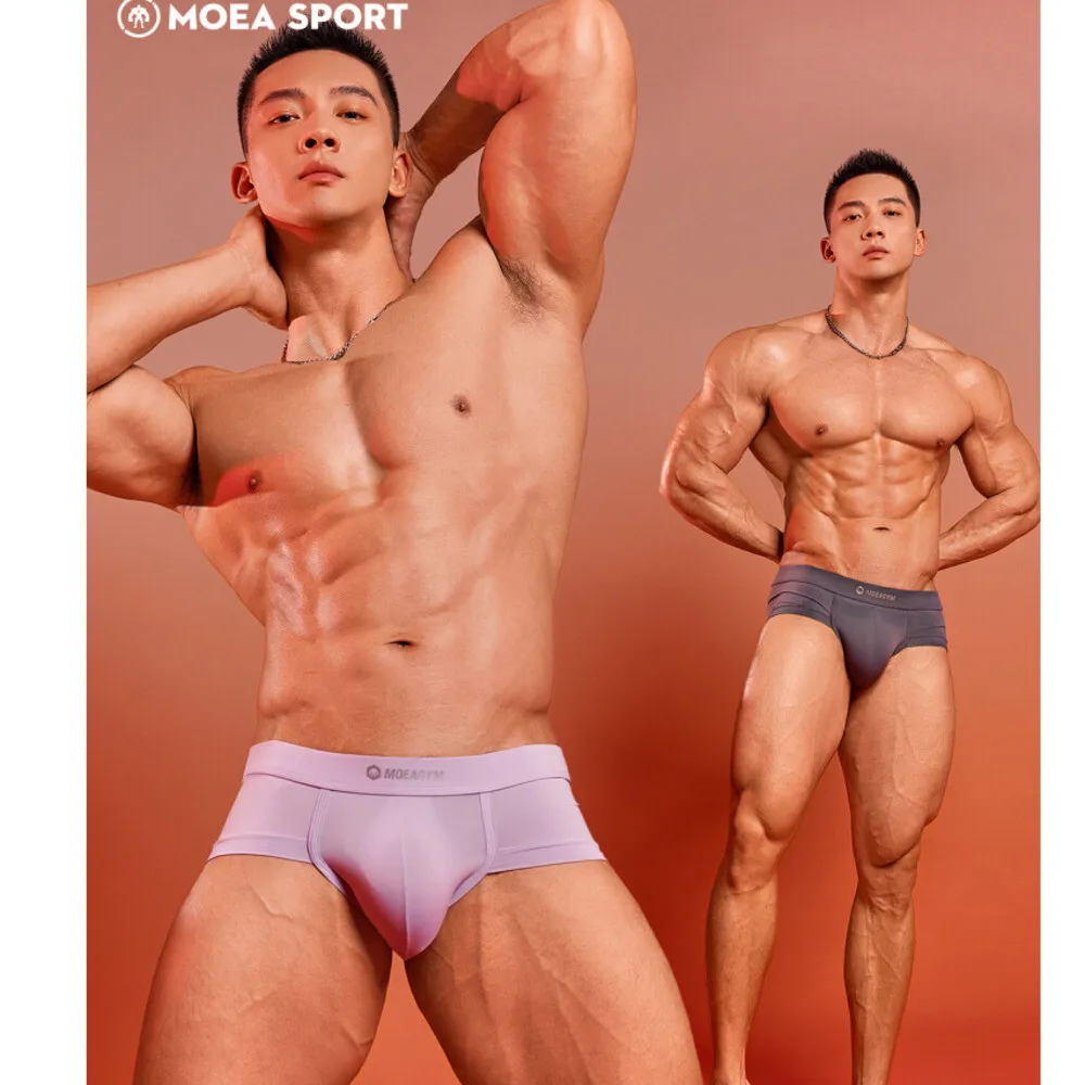 

Sexy Ice Silk Underwears Panties Plus Size Seamless Briefs Lingeries Bottoms