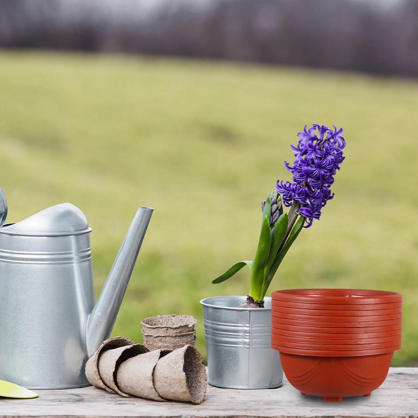 

10Pcs Plastic Hanging Planters Lightweight Flower Pots with Drainage Holes Nursery Pots Indoor Outdoor Garden Decoration