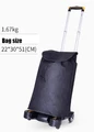Type2 with Bag