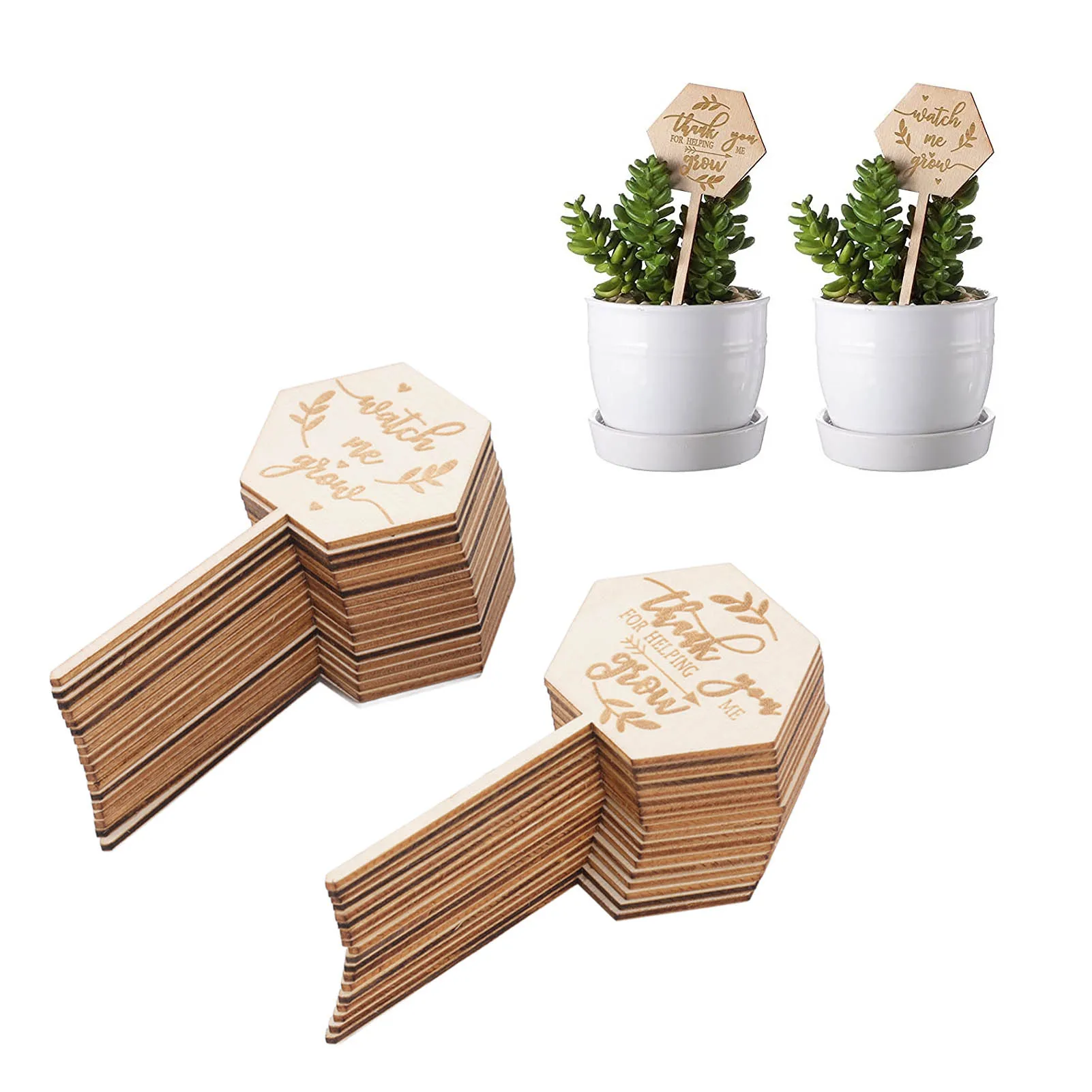 

36Pcs Watch Me Grow Succulent Tags Safe Eco Friendly Wooden Hexagonal Succulent Tag For Flower Pot Plant Decoration