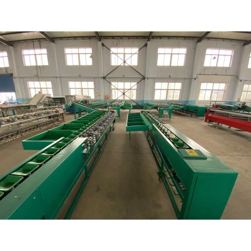 6 Grades Fruit Sorting Machine Kiwi Sorter Orange Red Pitaya  Fruit Grading Machine