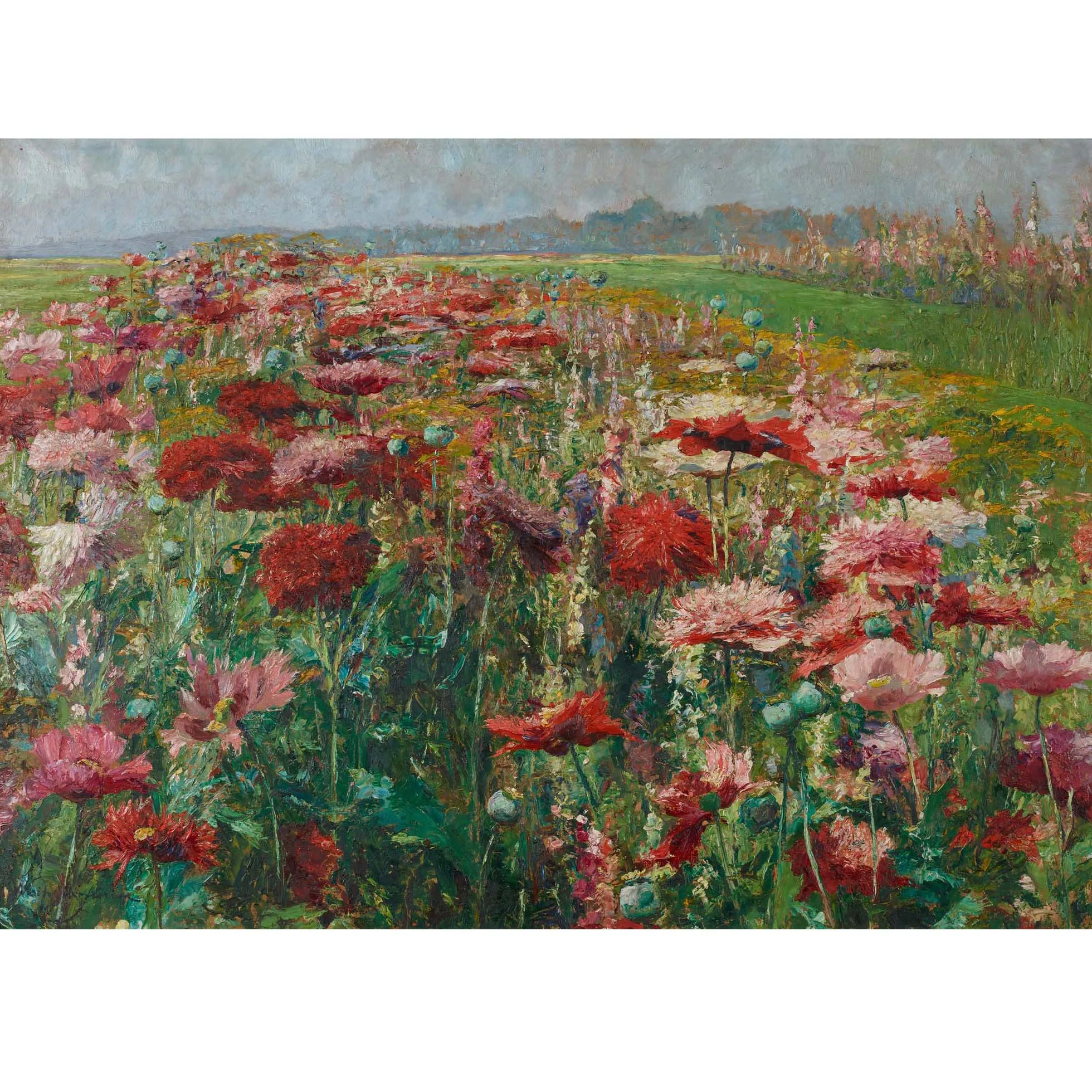 Amapola floreciente de Olga Wisinger-Florian, pintura famosa pintada a mano, reproducción, pintura al óleo de flores para decoración de pared de salón