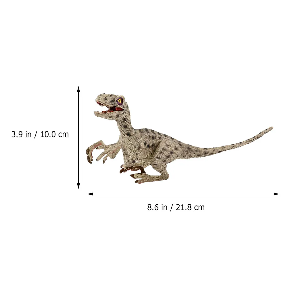 Product photo 6