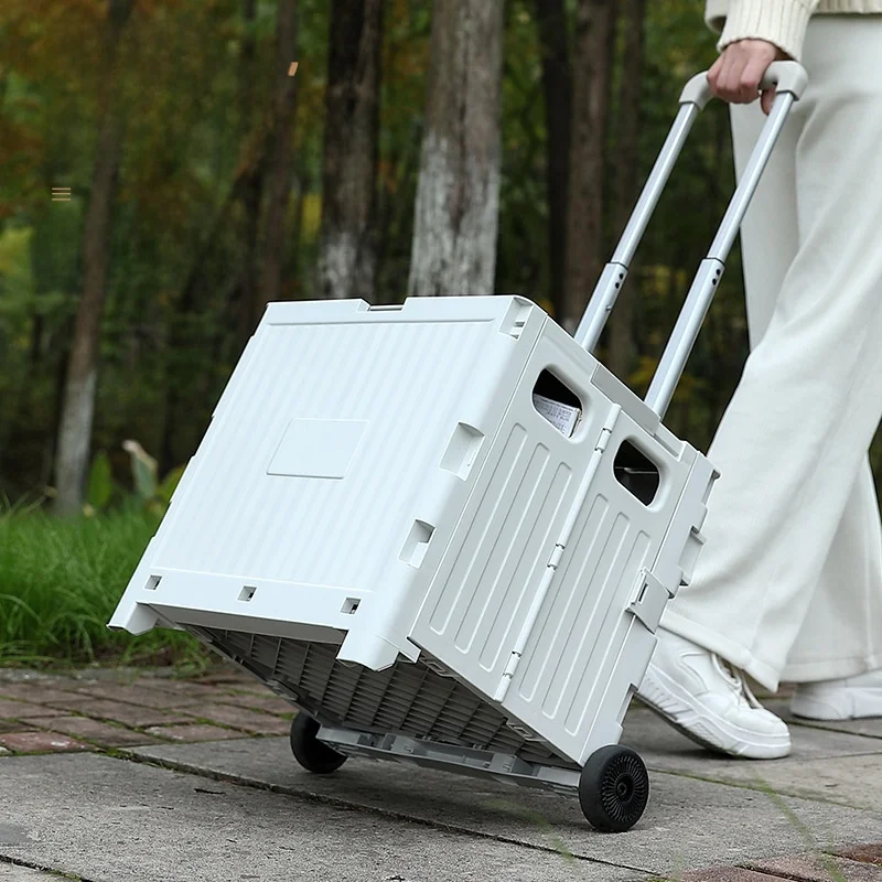 carrello-della-spesa-leggero-e-portatile-pieghevole-per-acquisti-di-verdure-stampabile-pratico-per-la-casa-e-come-veicolo-multiuso
