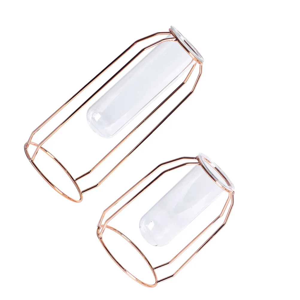 

1Pcs Glass Flower Tube Planter Hydroponics Vase Metal Stand for Home Office Valentine Christmas Gift Flower Planter