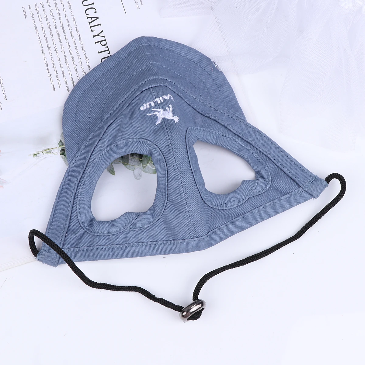 여름 애완동물 야구 모자 이미지