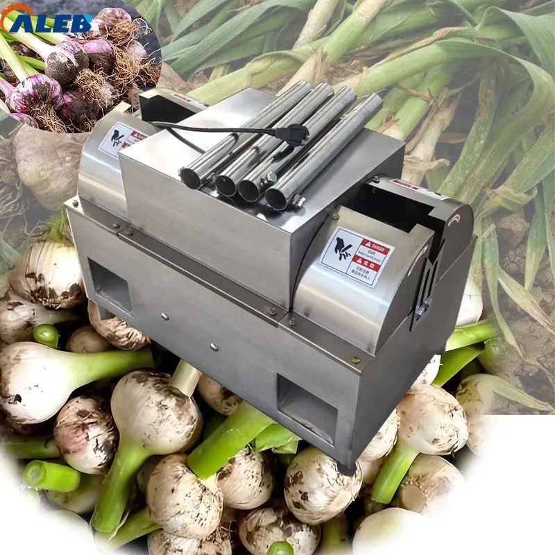 

Easy Operate Root Conclave Cutting Agricultural Garlic Processing Machine