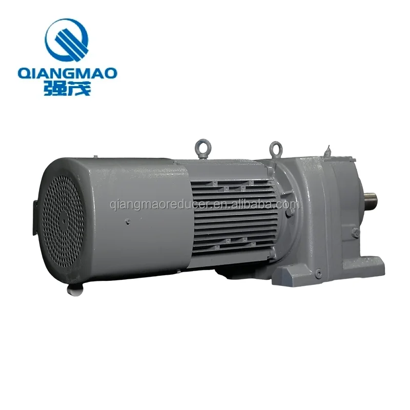 Precision Machining Speed Reducer Motor R Series Reducer For Conveyors With 380V 50HZ  Brake Motor