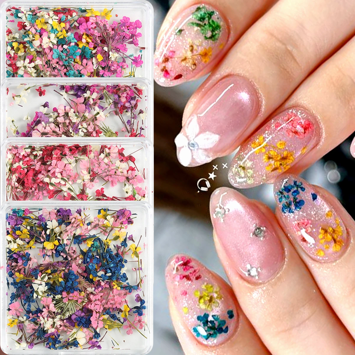 Gemischte Bunte Natürliche Blumen Nagelkunst-Charms Klein-Blau Gelb Rot Fünfblättrige Blume Natürliche Florale Maniküre-Accessoires – Detail 2