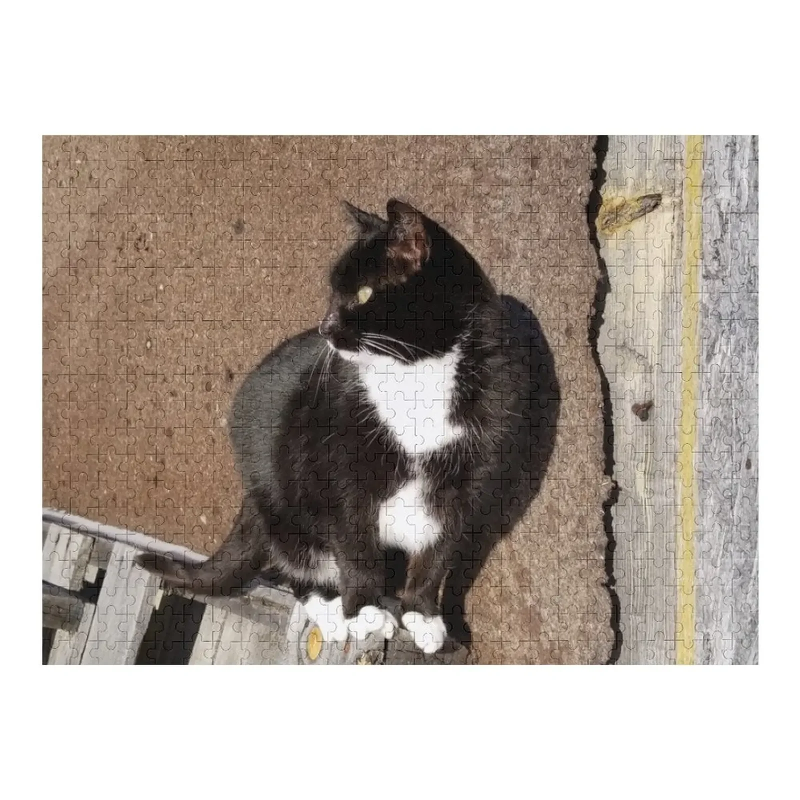 

Головоломка «Кот сарая на поддонах» с персонализированным именем на заказ и фотографией Персонализированная деревянная головоломка с именем