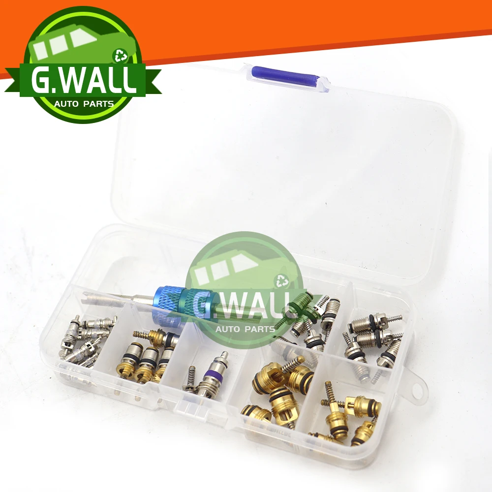 

Новый инструмент для сердечника клапана переменного тока R134A, комплект клапанов для Hyundai Kia Buick Citroen Fukang, китайские автомобили, японские автомобили, корейские автомобили